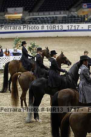 Proof Number 10r13_1717
