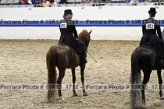 Proof Number 10r13_1718