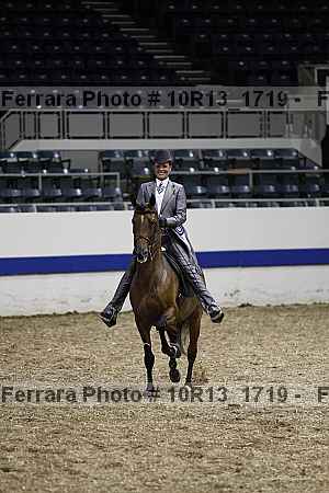 Proof Number 10r13_1719