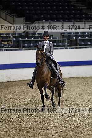 Proof Number 10r13_1720
