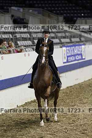 Proof Number 10r13_1723
