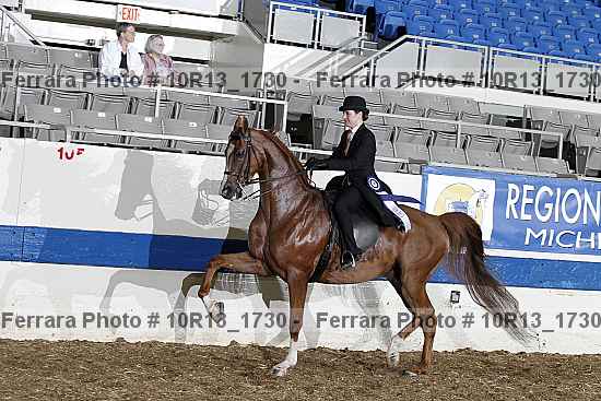 Proof Number 10r13_1730