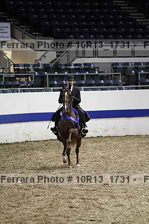 Proof Number 10r13_1731
