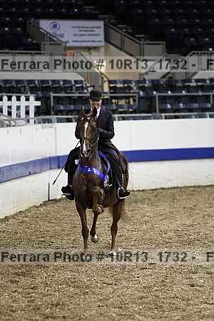 Proof Number 10r13_1732