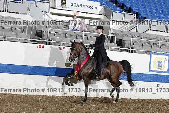 Proof Number 10r13_1733