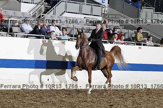 Proof Number 10r13_1766