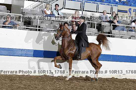 Proof Number 10r13_1768
