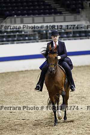 Proof Number 10r13_1774