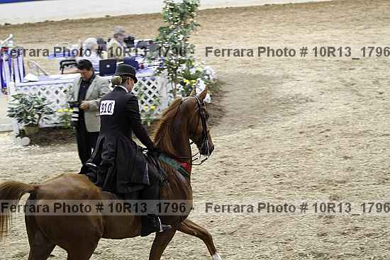 Proof Number 10r13_1796