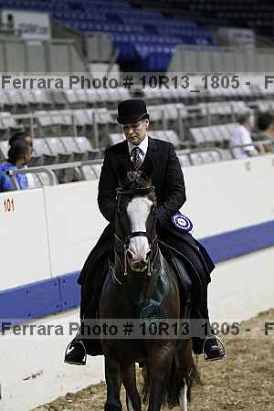 Proof Number 10r13_1805