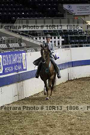 Proof Number 10r13_1806