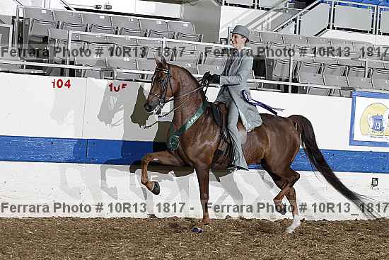 Proof Number 10r13_1817