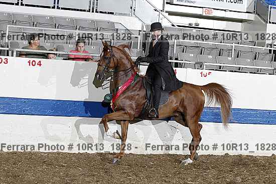 Proof Number 10r13_1828