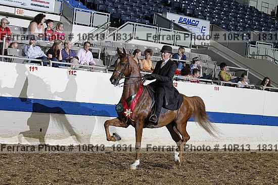 Proof Number 10r13_1831