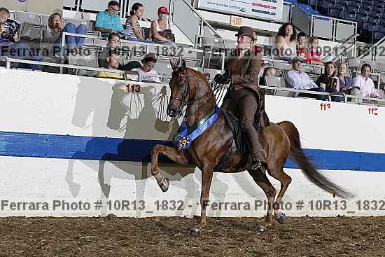 Proof Number 10r13_1832