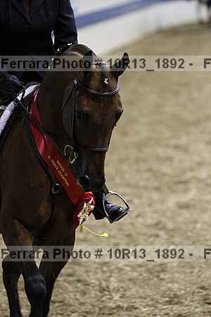 Proof Number 10r13_1892