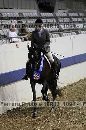 Proof Number 10r13_1894