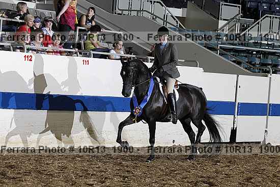Proof Number 10r13_1900