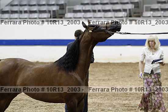 Proof Number 10r13_2003