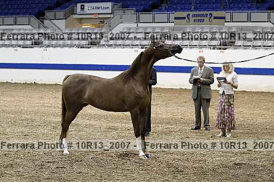 Proof Number 10r13_2007