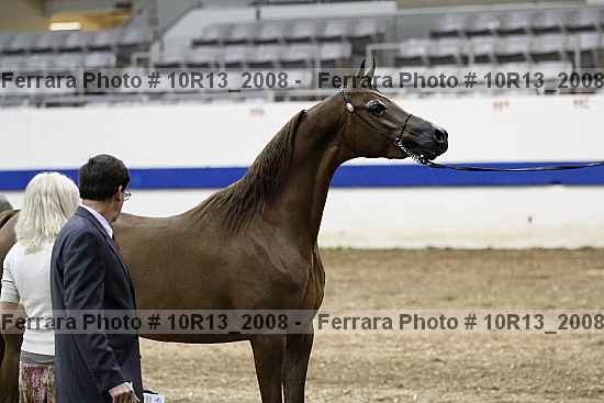 Proof Number 10r13_2008