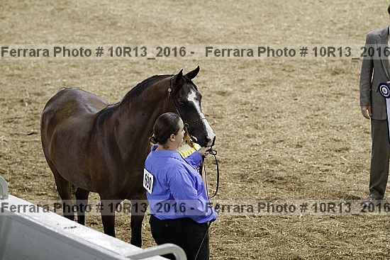 Proof Number 10r13_2016