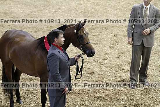 Proof Number 10r13_2021