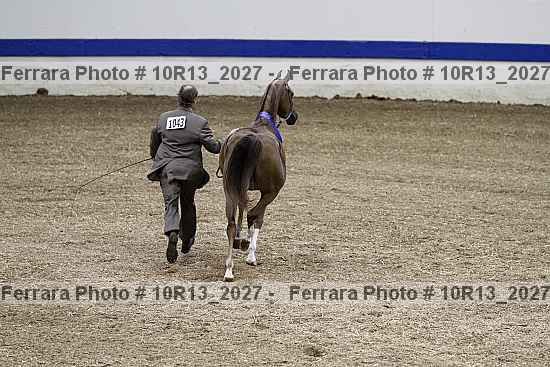 Proof Number 10r13_2027