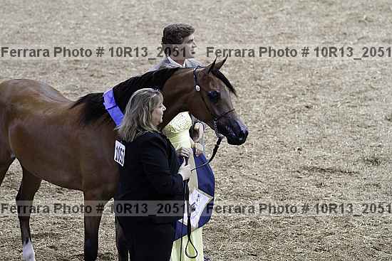Proof Number 10r13_2051