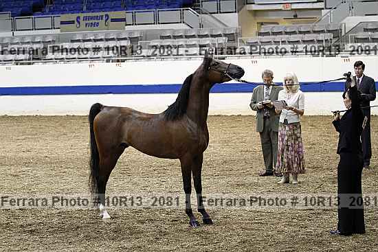 Proof Number 10r13_2081