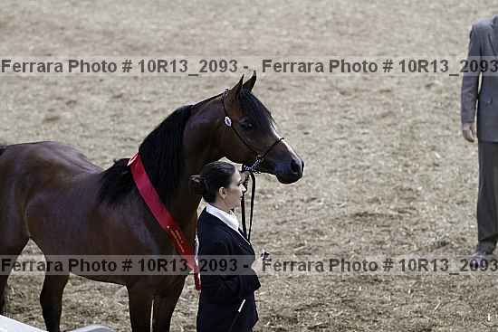 Proof Number 10r13_2093
