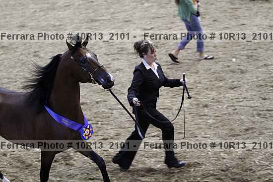 Proof Number 10r13_2101