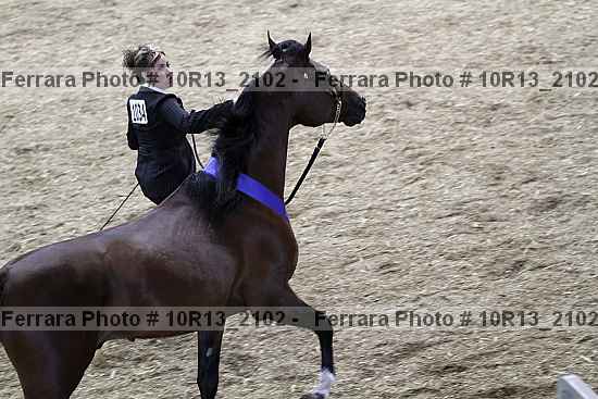 Proof Number 10r13_2102
