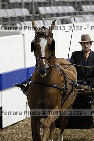 Proof Number 10r13_2132