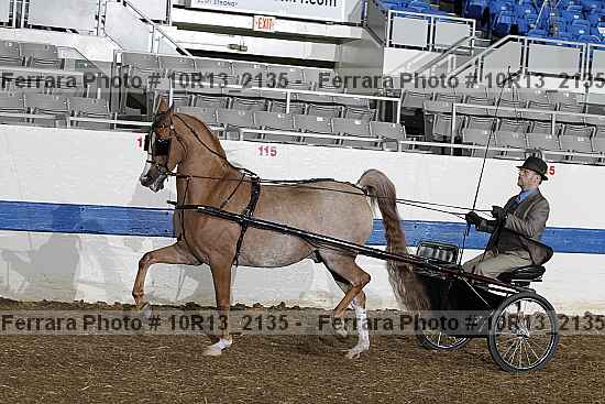 Proof Number 10r13_2135