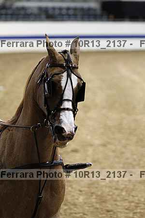 Proof Number 10r13_2137