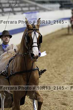 Proof Number 10r13_2145