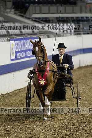 Proof Number 10r13_2147