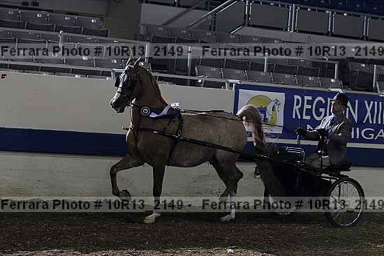 Proof Number 10r13_2149