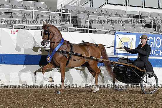 Proof Number 10r13_2153