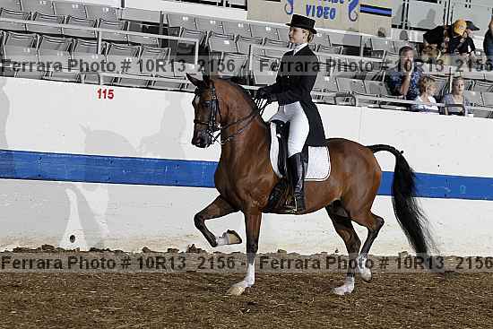 Proof Number 10r13_2156