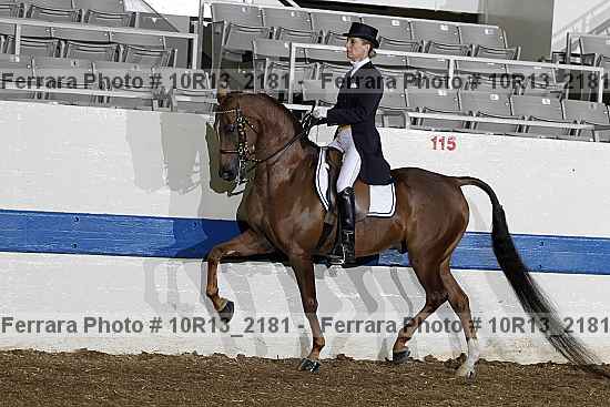 Proof Number 10r13_2181