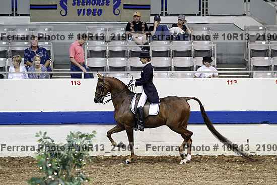 Proof Number 10r13_2190