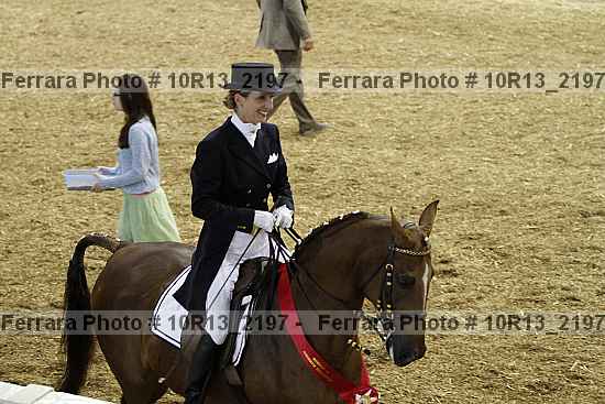 Proof Number 10r13_2197