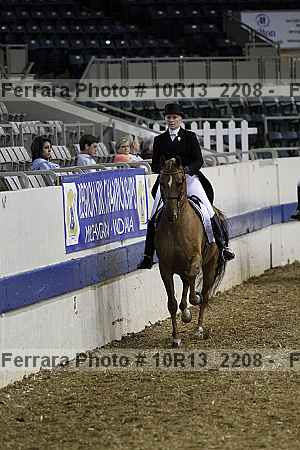 Proof Number 10r13_2208