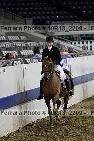 Proof Number 10r13_2209