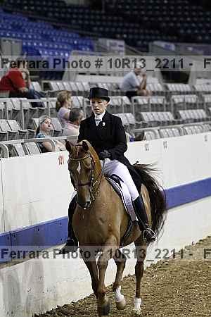 Proof Number 10r13_2211
