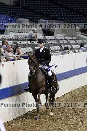 Proof Number 10r13_2213