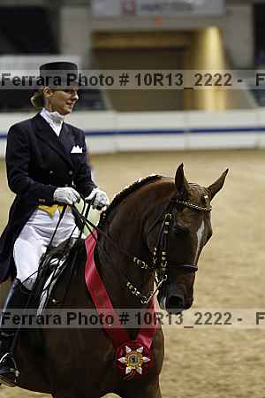 Proof Number 10r13_2222