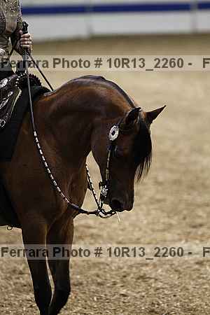 Proof Number 10r13_2260